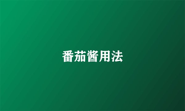 番茄酱用法