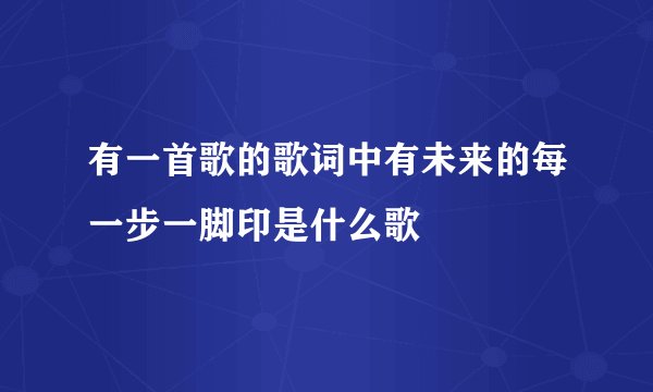 有一首歌的歌词中有未来的每一步一脚印是什么歌