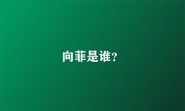 向菲是谁？