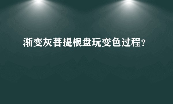 渐变灰菩提根盘玩变色过程?
