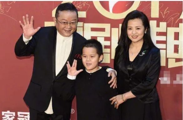 王刚的儿子怎么了?