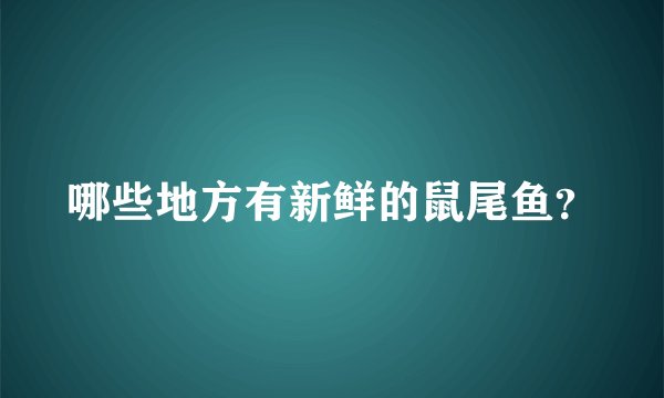 哪些地方有新鲜的鼠尾鱼？
