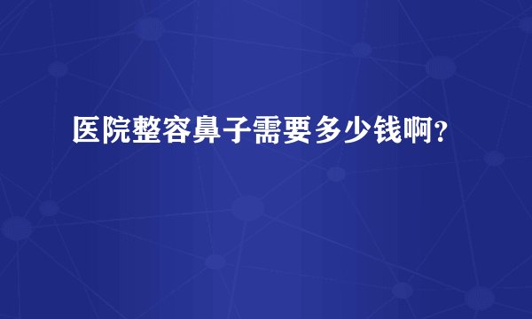 医院整容鼻子需要多少钱啊？