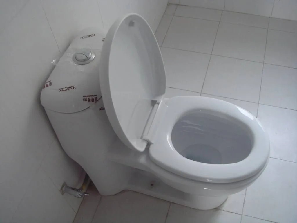 马桶的结构是怎样的
