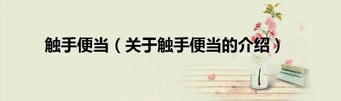 触手便当（关于触手便当的介绍）