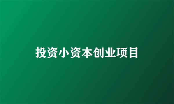 投资小资本创业项目