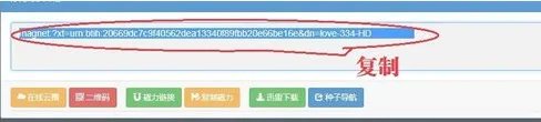 手撕包菜上的磁力链接如何转成种子储存