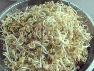 生绿豆芽