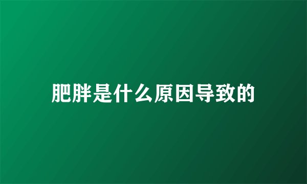 肥胖是什么原因导致的
