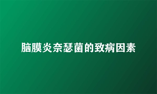 脑膜炎奈瑟菌的致病因素