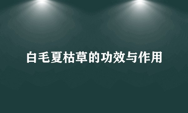 白毛夏枯草的功效与作用