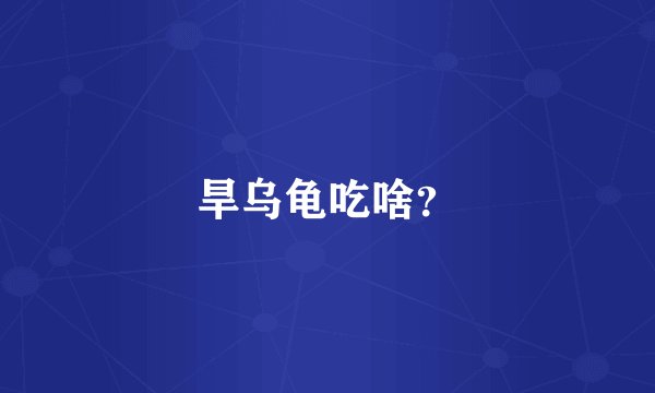 旱乌龟吃啥？