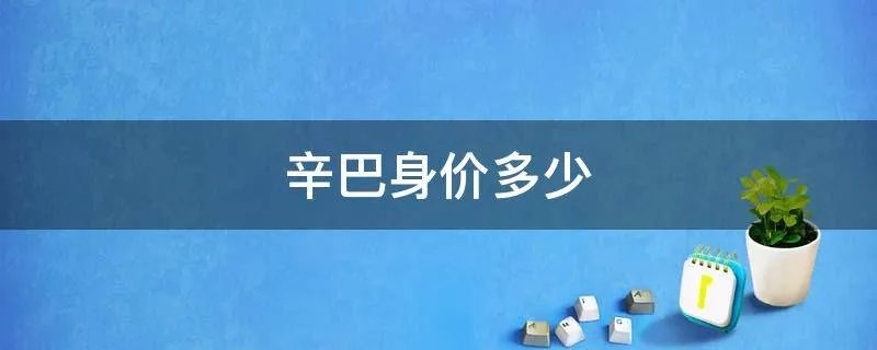 辛巴身价多少