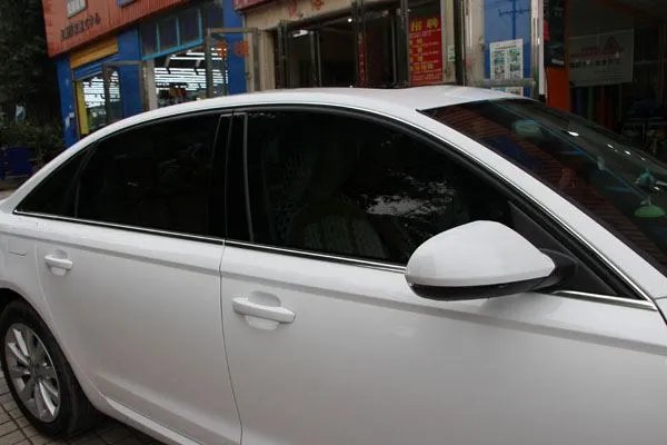 龙膜怎么样