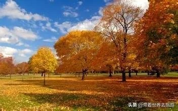 鄂尔多斯哪个草原最值得去