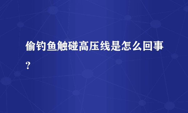 偷钓鱼触碰高压线是怎么回事？