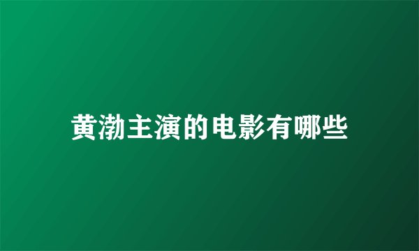 黄渤主演的电影有哪些