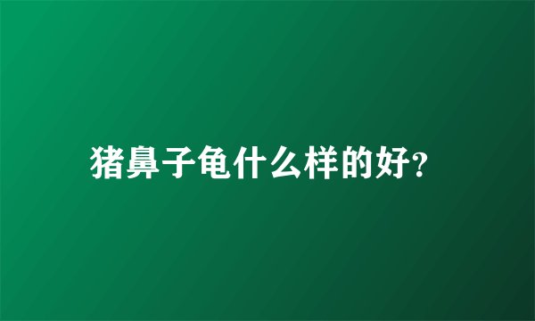 猪鼻子龟什么样的好？