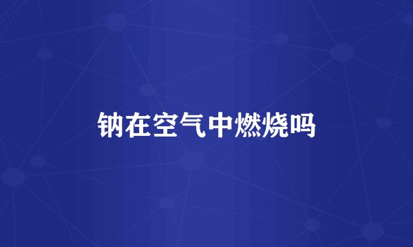 钠在空气中燃烧吗