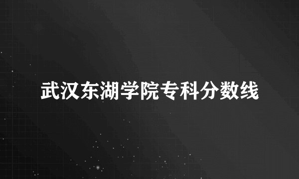 武汉东湖学院专科分数线