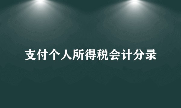 支付个人所得税会计分录
