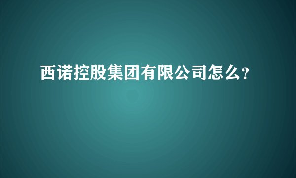 西诺控股集团有限公司怎么？