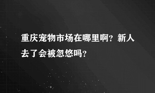 重庆宠物市场在哪里啊?新人去了会被忽悠吗?