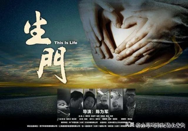 有哪些比较好看的纪录片？