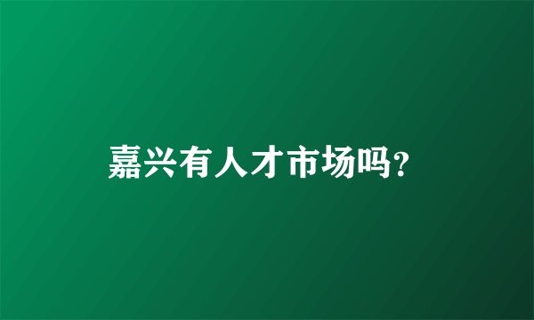 嘉兴有人才市场吗？