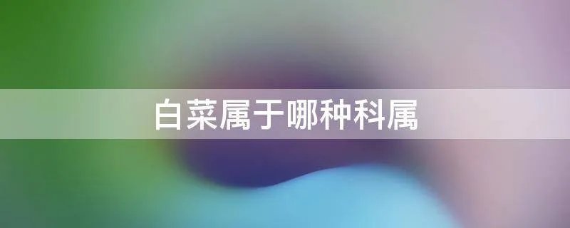白菜属于哪种科属