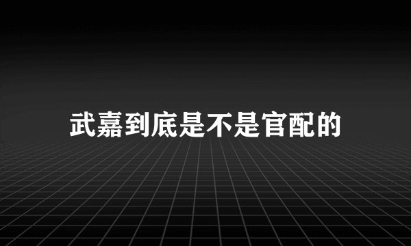 武嘉到底是不是官配的