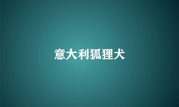意大利狐狸犬
