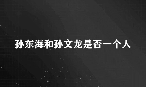 孙东海和孙文龙是否一个人