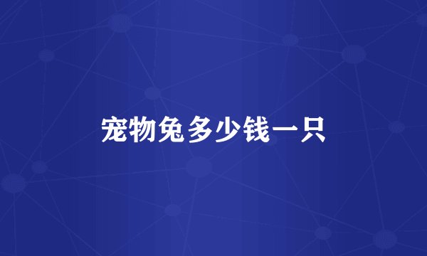 宠物兔多少钱一只