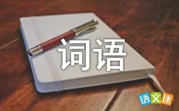 表示看的词语有哪些?