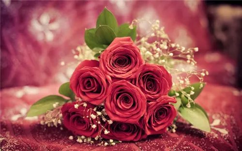 结婚纪念日送什么花好 哪些礼物适合结婚周年纪念日