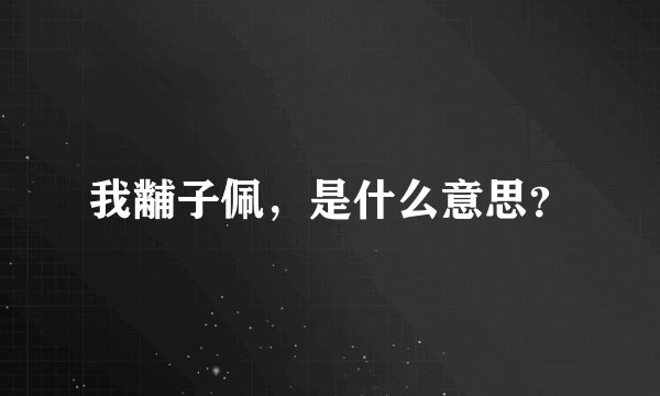 我黼子佩，是什么意思？