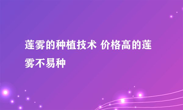 莲雾的种植技术 价格高的莲雾不易种