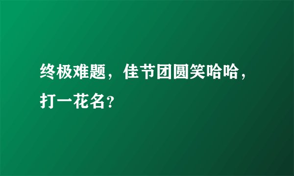 终极难题，佳节团圆笑哈哈，打一花名？