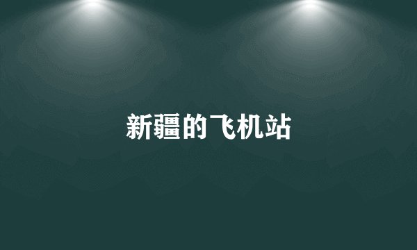 新疆的飞机站
