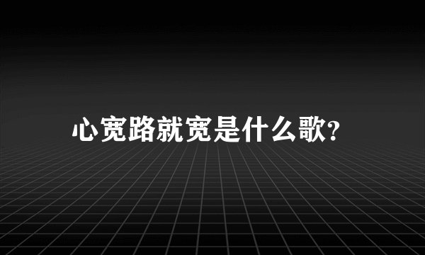 心宽路就宽是什么歌?