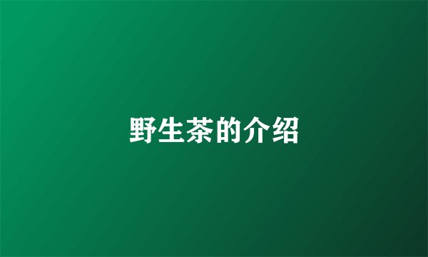 野生茶的介绍