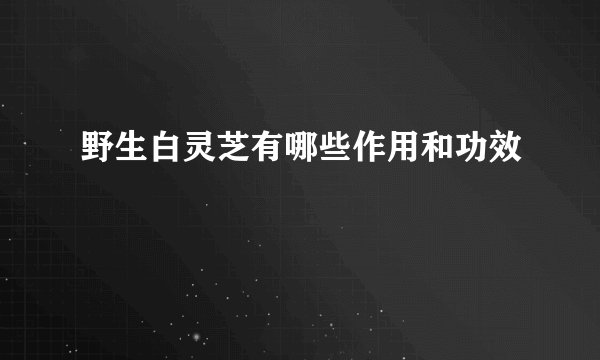 野生白灵芝有哪些作用和功效