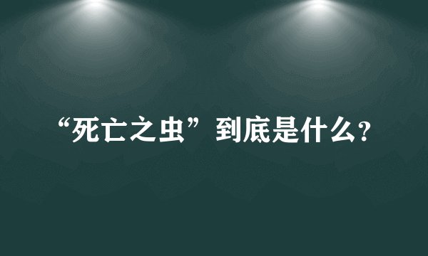 “死亡之虫”到底是什么？