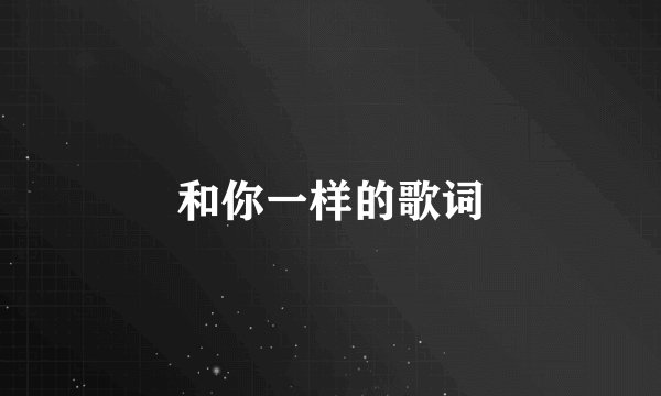 和你一样的歌词