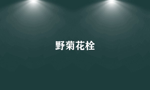 野菊花栓