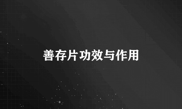 善存片功效与作用