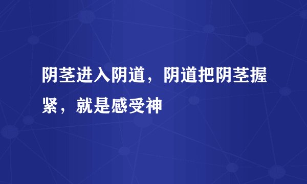 阴茎进入阴道，阴道把阴茎握紧，就是感受神