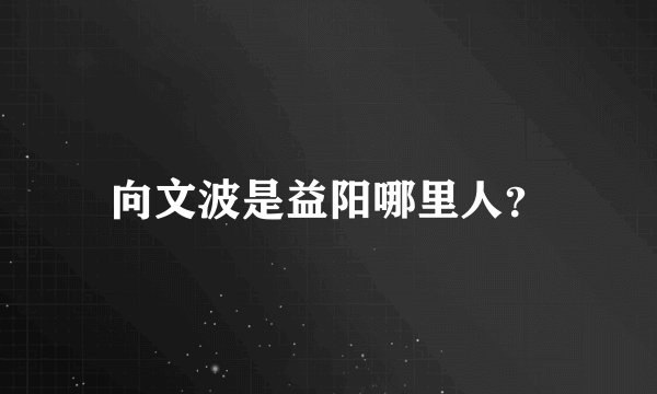 向文波是益阳哪里人？