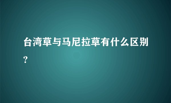 台湾草与马尼拉草有什么区别?